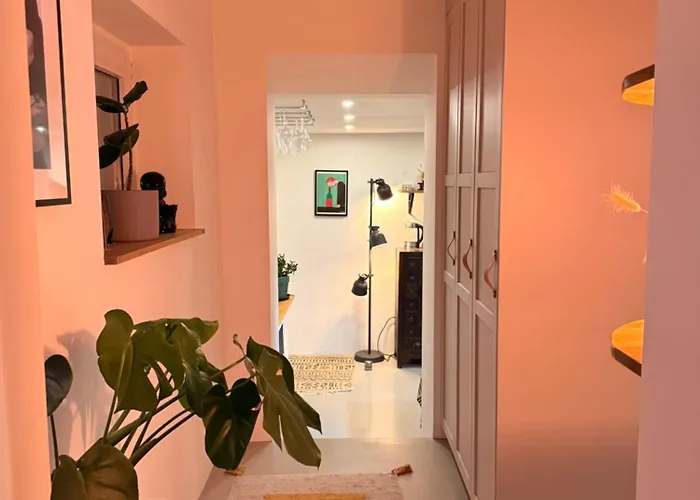 Gemuetliche Doppelhaushaelfte Mit Garten Und Sauna Appartement Frechen